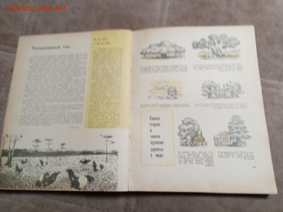 Лесной календарь 1968г. До 06.02.26 в 22:00 по мск - IMG_20260201_000902