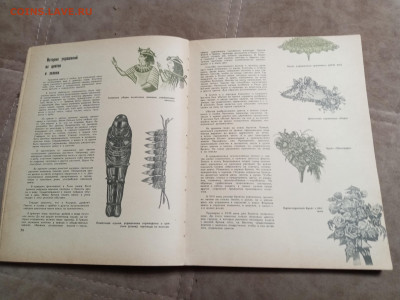 Лесной календарь 1968г. До 06.02.26 в 22:00 по мск - IMG_20260201_000852