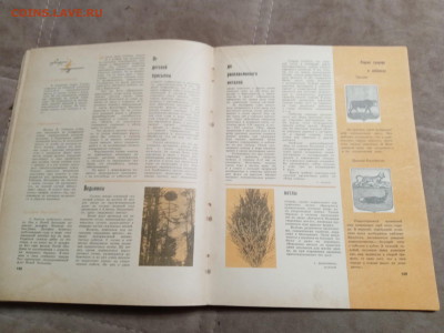 Лесной календарь 1968г. До 06.02.26 в 22:00 по мск - IMG_20260201_000751