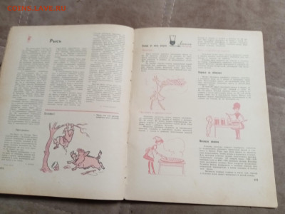 Лесной календарь 1968г. До 06.02.26 в 22:00 по мск - IMG_20260201_000739