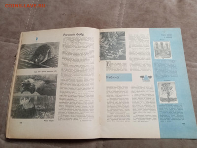 Лесной календарь 1968г. До 06.02.26 в 22:00 по мск - IMG_20260201_000719