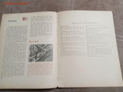 Лесной календарь 1968г. До 06.02.26 в 22:00 по мск - IMG_20260201_000708