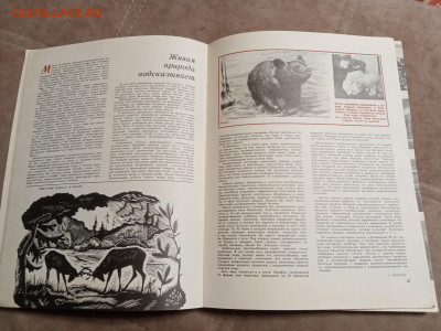 Лесной календарь 1970г до 06.02.26 в 22:00 по мск - IMG_20260201_002707