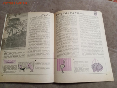 Лесной календарь 1970г до 06.02.26 в 22:00 по мск - IMG_20260201_002605