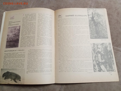 Лесной календарь 1970г до 06.02.26 в 22:00 по мск - IMG_20260201_002557