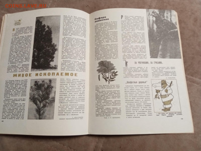 Лесной календарь 1970г до 06.02.26 в 22:00 по мск - IMG_20260201_002545