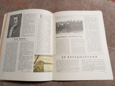 Лесной календарь 1970г до 06.02.26 в 22:00 по мск - IMG_20260201_002540