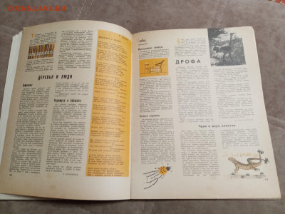 Лесной календарь 1970г до 06.02.26 в 22:00 по мск - IMG_20260201_002536