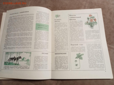 Лесной календарь 1970г до 06.02.26 в 22:00 по мск - IMG_20260201_002518