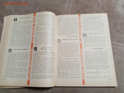 Настольный календарь 1970г до 06.02.26 в 22:00 по мск - IMG_20260201_004035