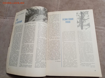 Ежегодник лес и человек 1976г.до 06.02.26 в 22:00 по мск - IMG_20260201_004943