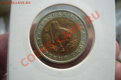 Красная книга 1992 г  до 01.03.2012 в 21-30 - P1140728_thumb