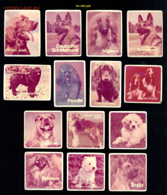 Знаки и Значки разные темы, много до ухода в архив - сканирование0019