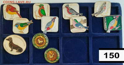 Значки различные ассорти 7 - фикс цена ПРИРОДА - 04-02-26 - 20260201_162302