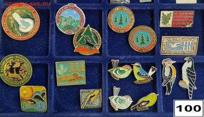 Значки различные ассорти 7 - фикс цена ПРИРОДА - 04-02-26 - 20260201_162117