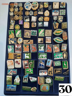 Значки различные ассорти 7 - фикс цена ПРИРОДА - 04-02-26 - 20260201_161926