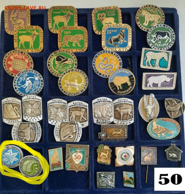 Значки различные ассорти 7 - фикс цена ПРИРОДА - 04-02-26 - Значки различные ассорти 7 - фикс цена ПРИРОДА 2