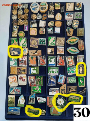 Значки различные ассорти 7 - фикс цена ПРИРОДА - 04-02-26 - Значки различные ассорти 7 - фикс цена ПРИРОДА 1