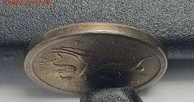 1 копейка 2003 СП Гравировка 10 Идеальная - IMG_20260125_224411