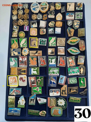 Значки различные ассорти 7 - фикс цена ПРИРОДА - 04-02-26 - 20260201_161926