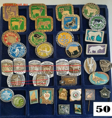 Значки различные ассорти 7 - фикс цена ПРИРОДА - 04-02-26 - 20260201_161937