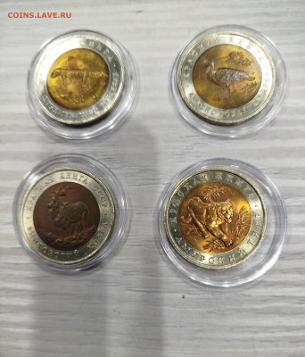 КК- 4 монеты. - IMG_20260202_190210