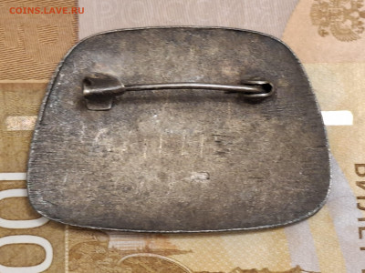 Значок птицы, тяжелый. - 20260202_221801