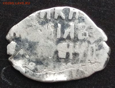 Чешуя на определение - 3