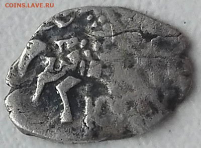 Чешуя на определение - 2