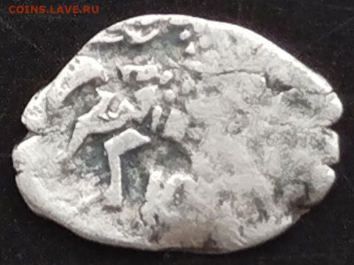 Чешуя на определение - 1