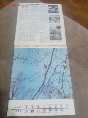Настенный календарь родина 1973г до 08.02.26 в 22:00 по мск - IMG_20260203_023337