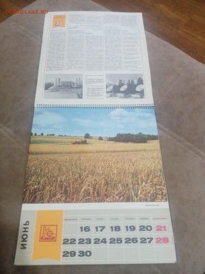 Настенный календарь родина 1987г.до 08.02.26 в 22:00 по мск - IMG_20260203_024535