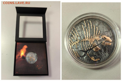 Монголия 500тугр 2022 Эволюция жизни Синапсида  Ag999, до 09 - Ю Эволюция 2022 Синапсида-0