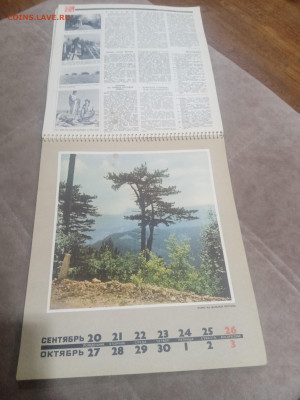 Настенный календарь родина 1971г до 08.02.26 в 22:00 по мск - IMG_20260203_025805