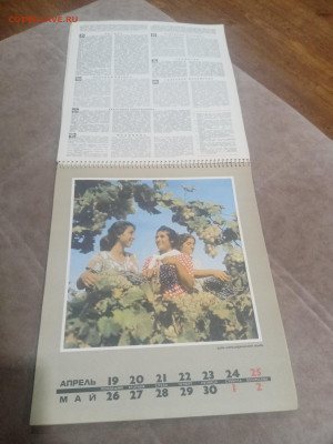 Настенный календарь родина 1971г до 08.02.26 в 22:00 по мск - IMG_20260203_025741