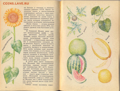 Рассказы о растениях переселенцах. - рассказы о растениях переселенцах 4