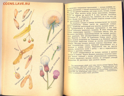 Рассказы о растениях переселенцах. - рассказы о растениях переселенцах 3