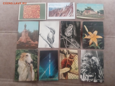 Открытки чистые по 10р до 08.02.26 в 22:00 по мск - IMG_20260203_120603