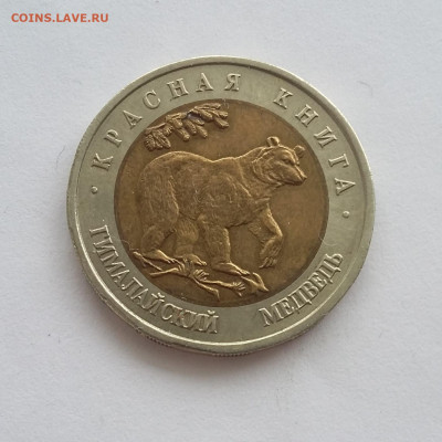 50р Красная книга Медведь - медведь