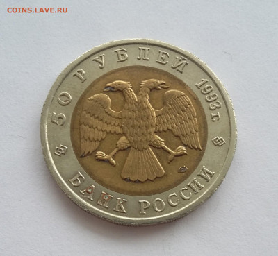 50р Красная книга Медведь - медведь 1