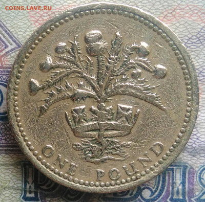 Великобритания 1 фунт 1984 года до 09.02.2026 - IMG_20260202_175631