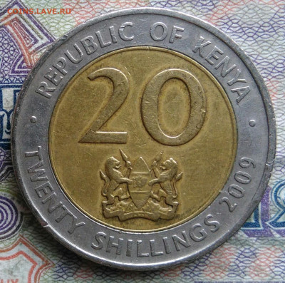 Кения 20 шиллингов 2009 года до 09.02.2026 - IMG_20260201_174717