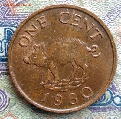 Бермуды 1 цент 1980 года до 09.02.2026 - IMG_20260201_174610