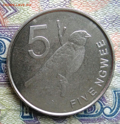 Замбия 5 нгве 2015 года до 09.02.2026 - IMG_20260201_164302