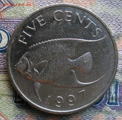 Бермуды 5 центов 1997 года до 09.02.2026 - IMG_20260201_145729