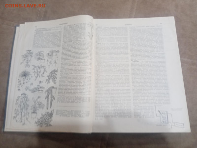 Краткая энциклопедия домашнего хозяйства 1979г до 10.02.26 - IMG_20260204_212458