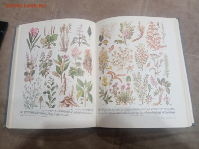 Краткая энциклопедия домашнего хозяйства 1979г до 10.02.26 - IMG_20260204_212400