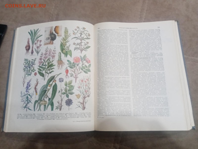 Краткая энциклопедия домашнего хозяйства 1979г до 10.02.26 - IMG_20260204_212351