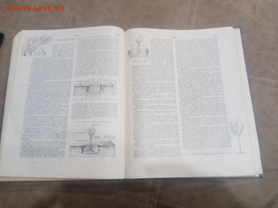 Краткая энциклопедия домашнего хозяйства 1979г до 10.02.26 - IMG_20260204_212319