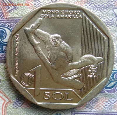 Перу 1 соль 2019 года до 09.02.2026 - IMG_20260201_015321